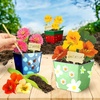 image:imageNational Geographic Herb Growing Kit  Decorate 3 Pots with Paint and Stickers Kids Gardening Set Arts and Crafts for Kids Ages 812 Garden Kit Outdoor Toys